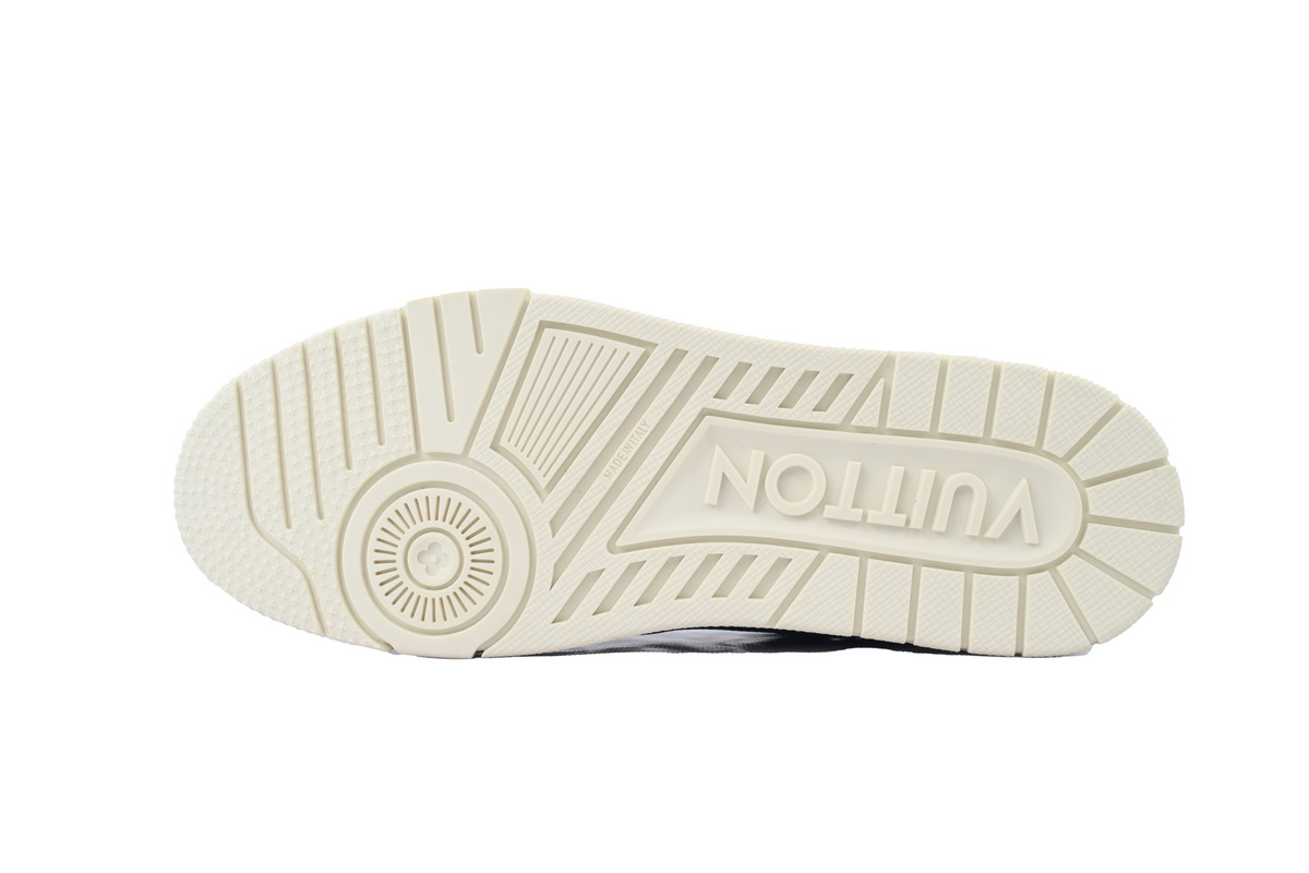 Louis Vuitton Sneaker Black Skin And White Background