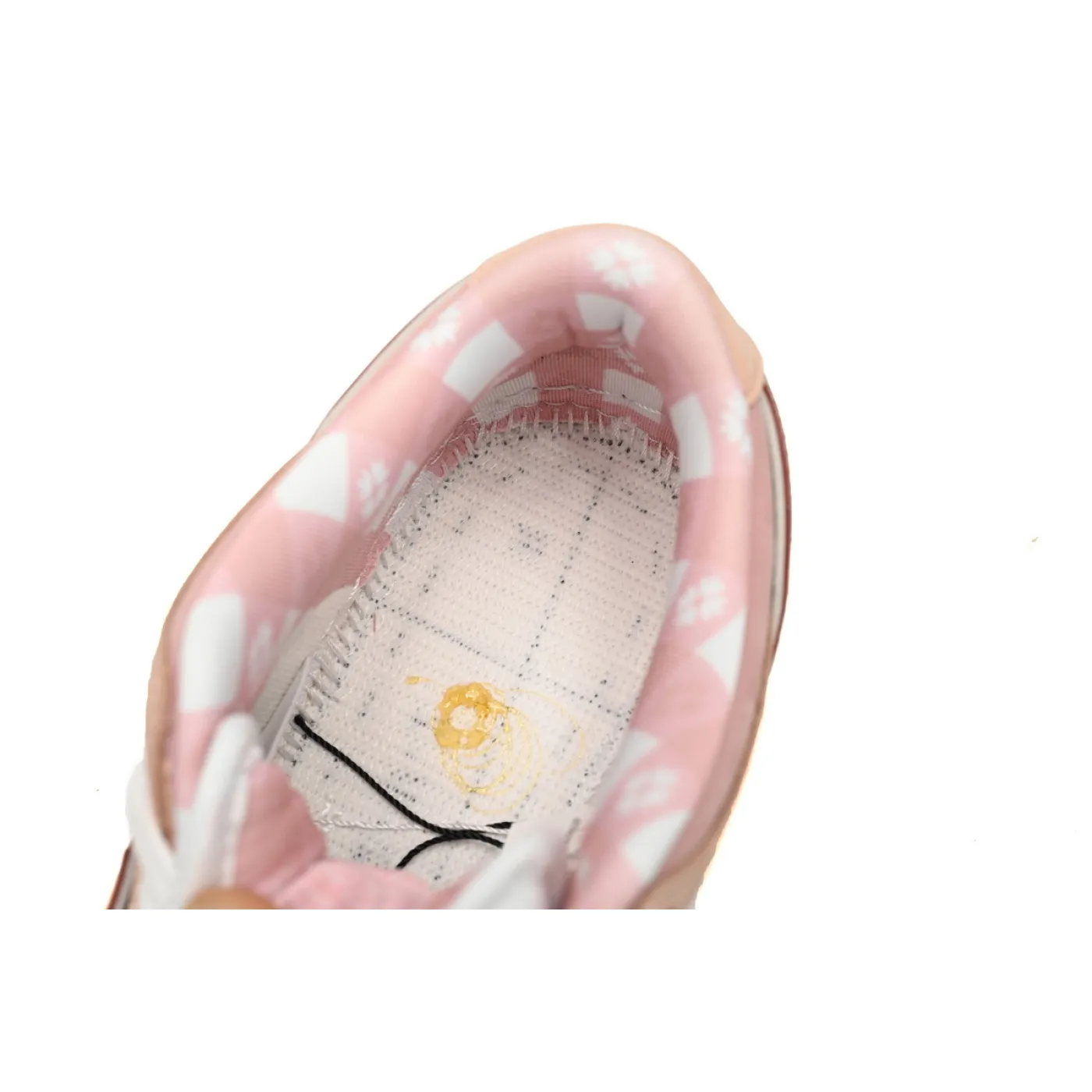 Nike SB Dunk Low Concepts Pink Lobster BV1310-800