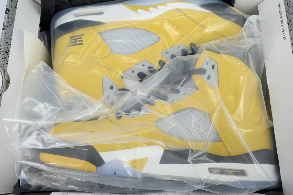 Air Jordan 5 Retro T23 Tokyo (2011) 454783-701