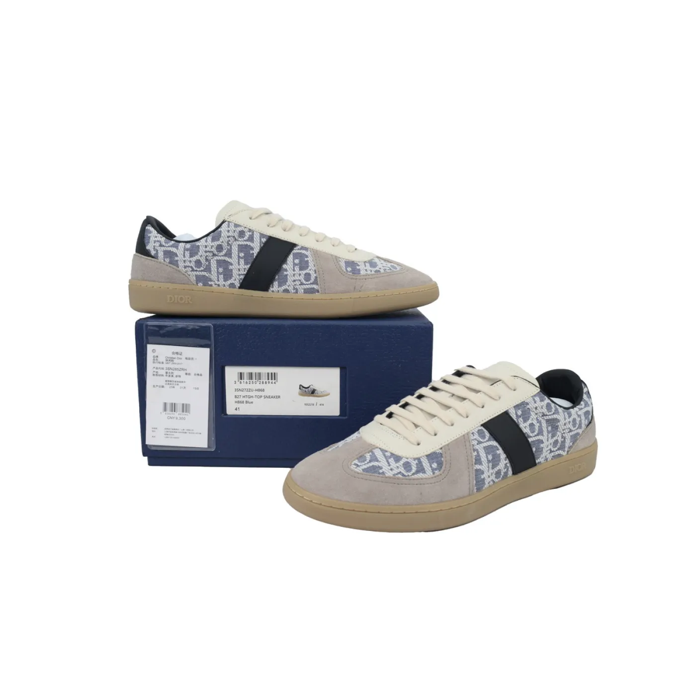 Dior B01 Matchpoint Sneaker Gray And Blue Print
