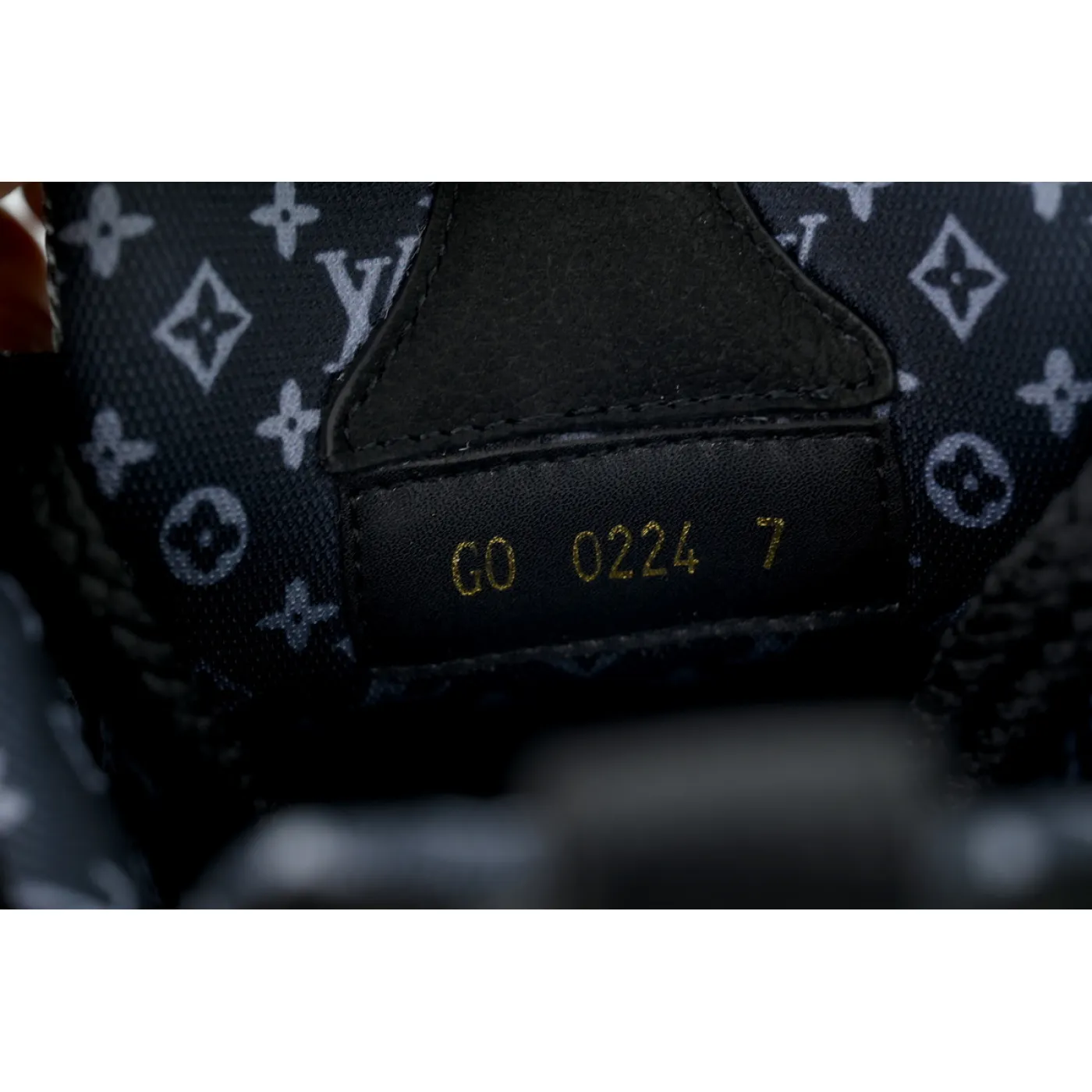 Louis Vuitton LV Skate Sneaker All Black