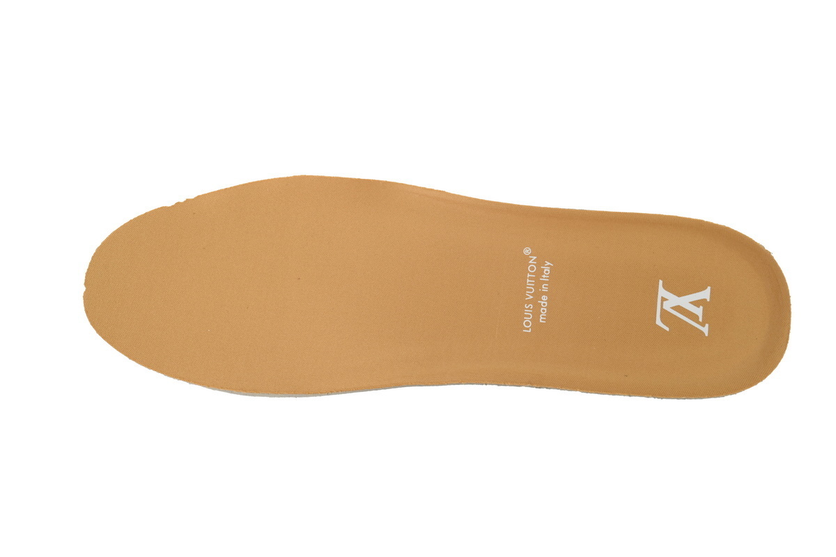 Louis Vuitton Trainer Brown