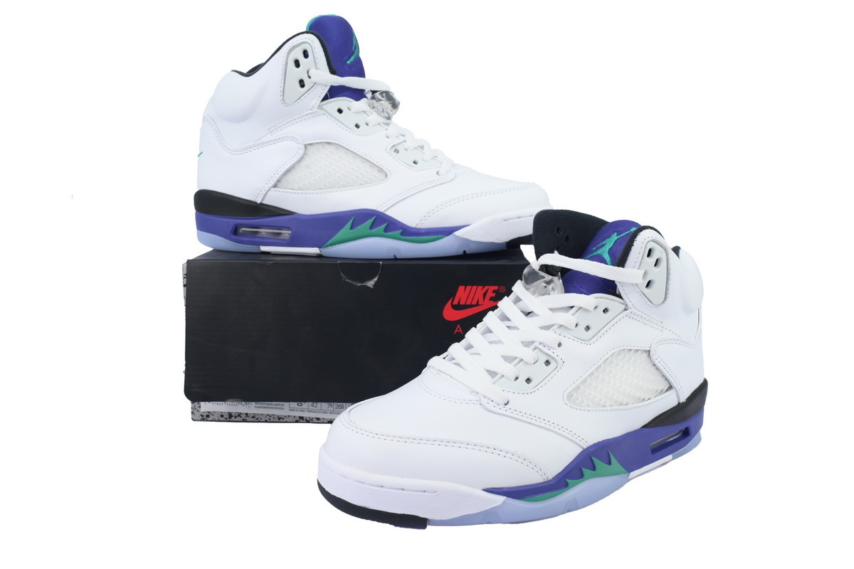 Air Jordan 5 Retro Grape (2025) HQ7978-100