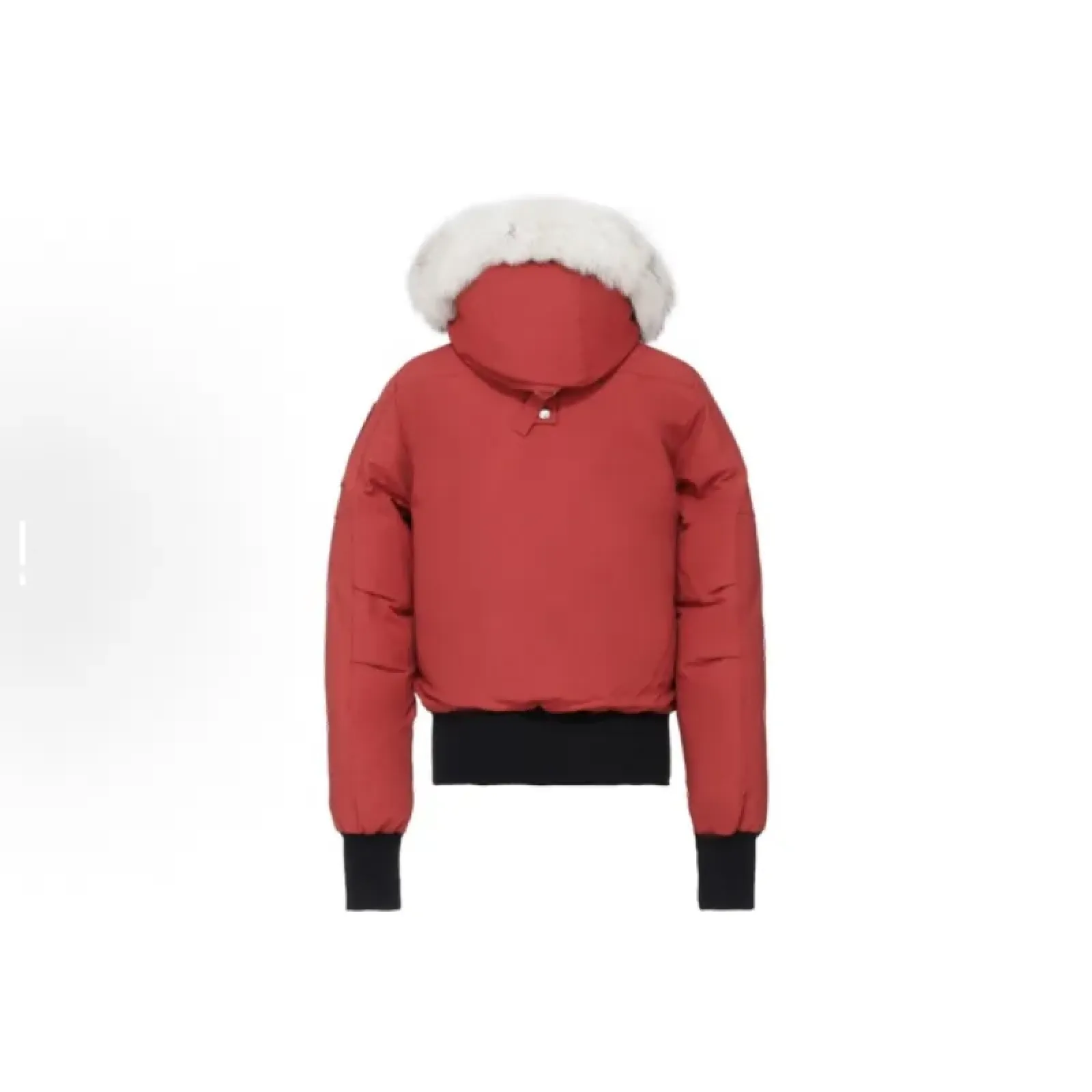 Moose Knuckles Red Jacket Black Wool（NFC)