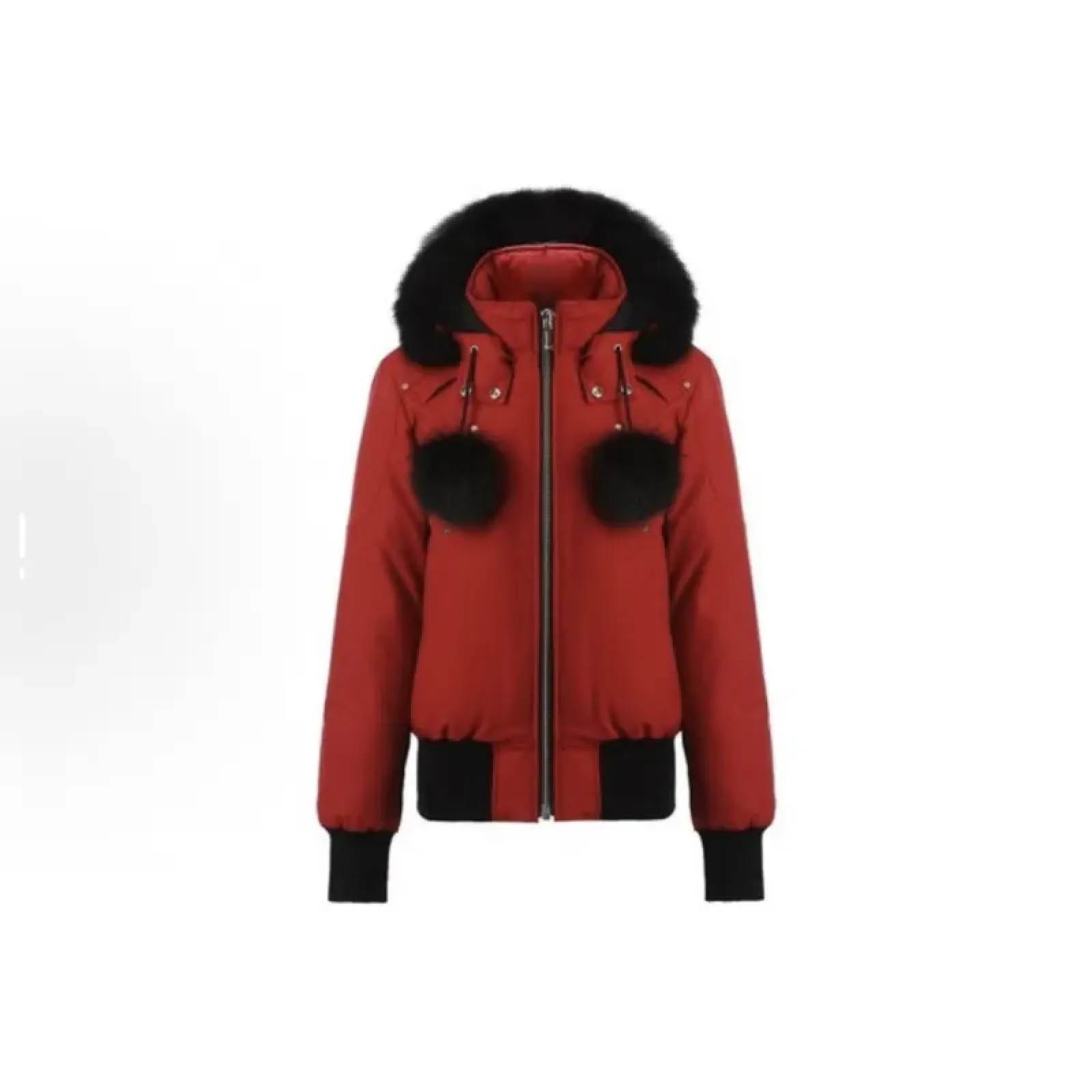Moose Knuckles Red Jacket Black Wool（NFC)