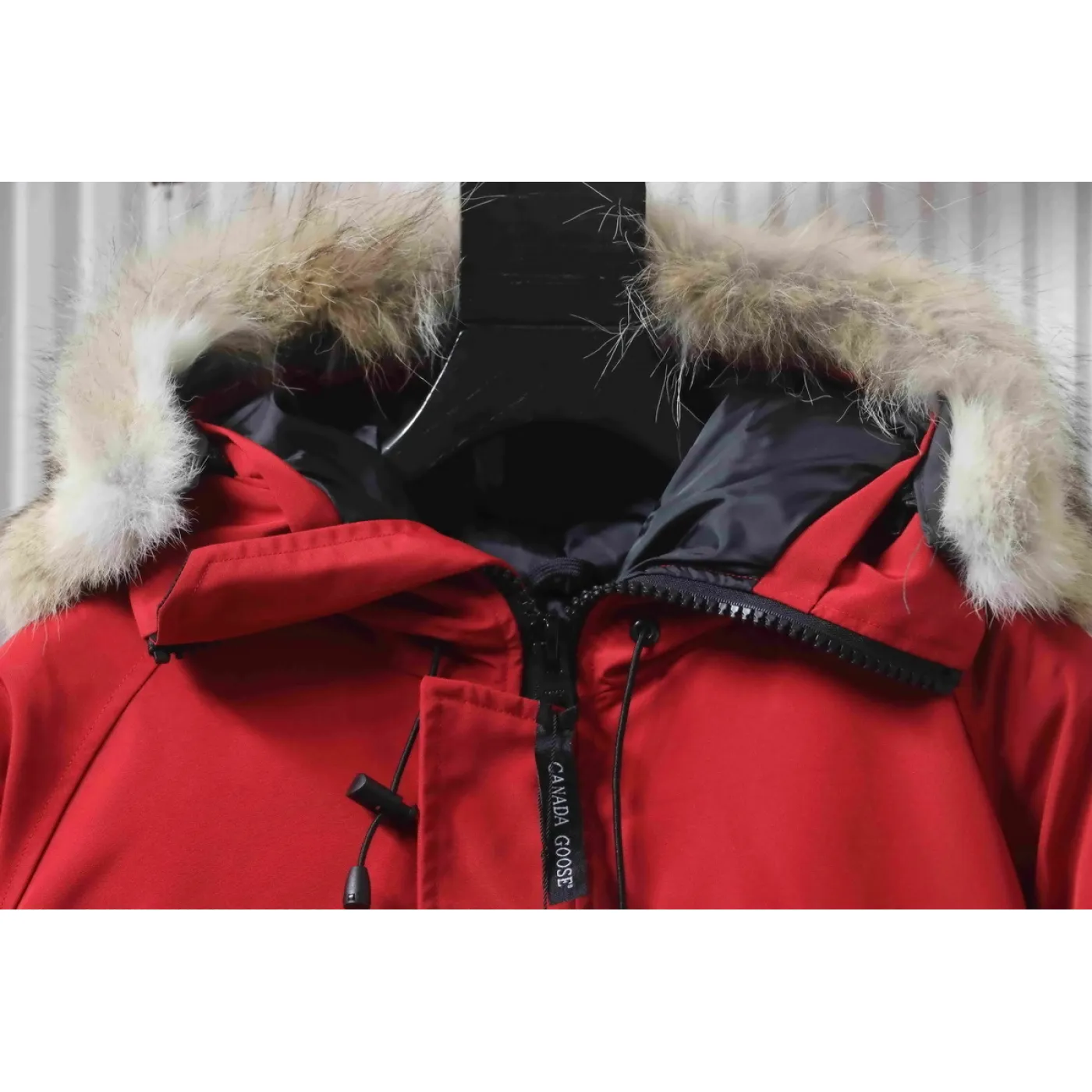 Canada Goose Chilliwack Bomber Jacket Short Down Jacket PBI Red