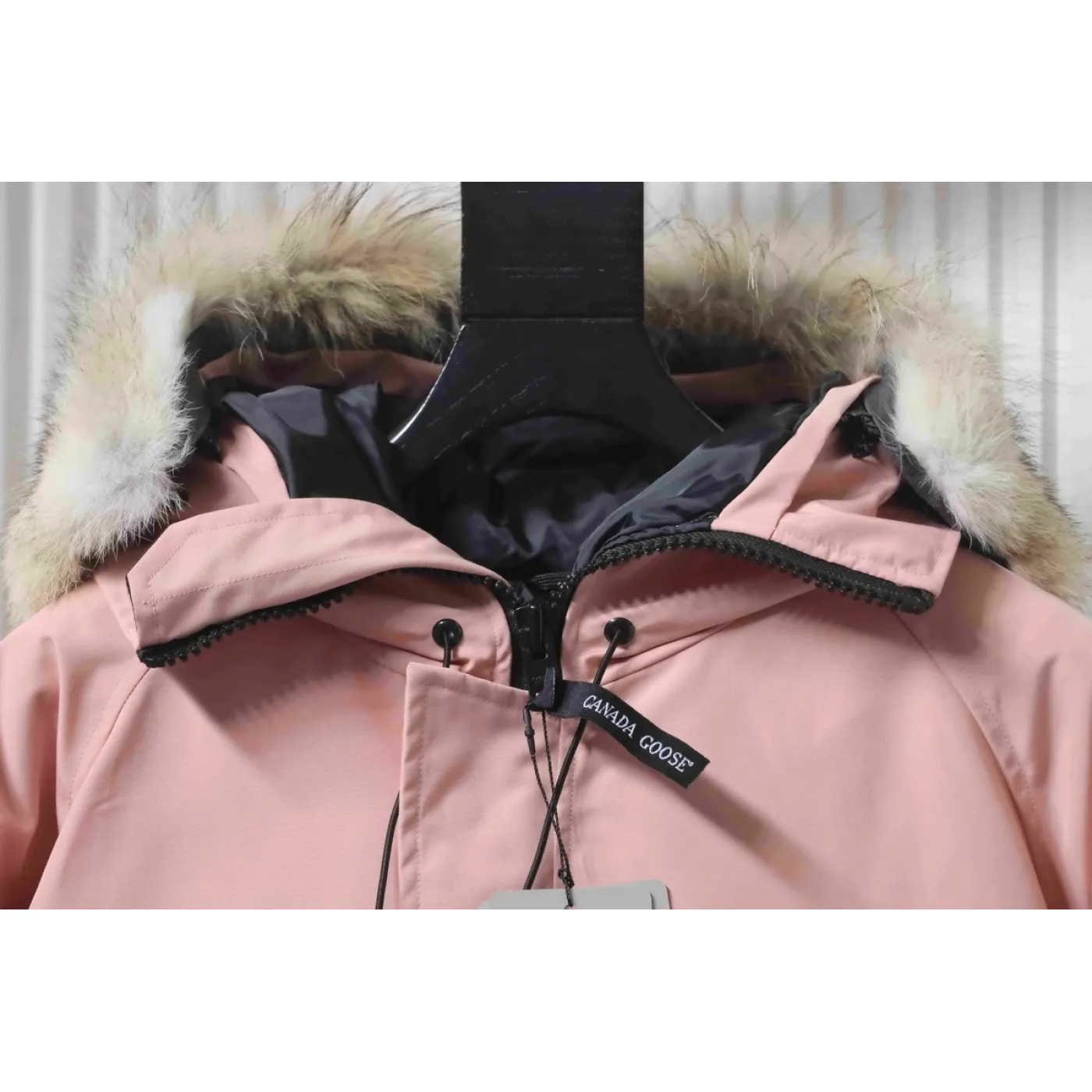 Canada Goose Chilliwack Bomber Jacket Short Down Jacket PBI Pink