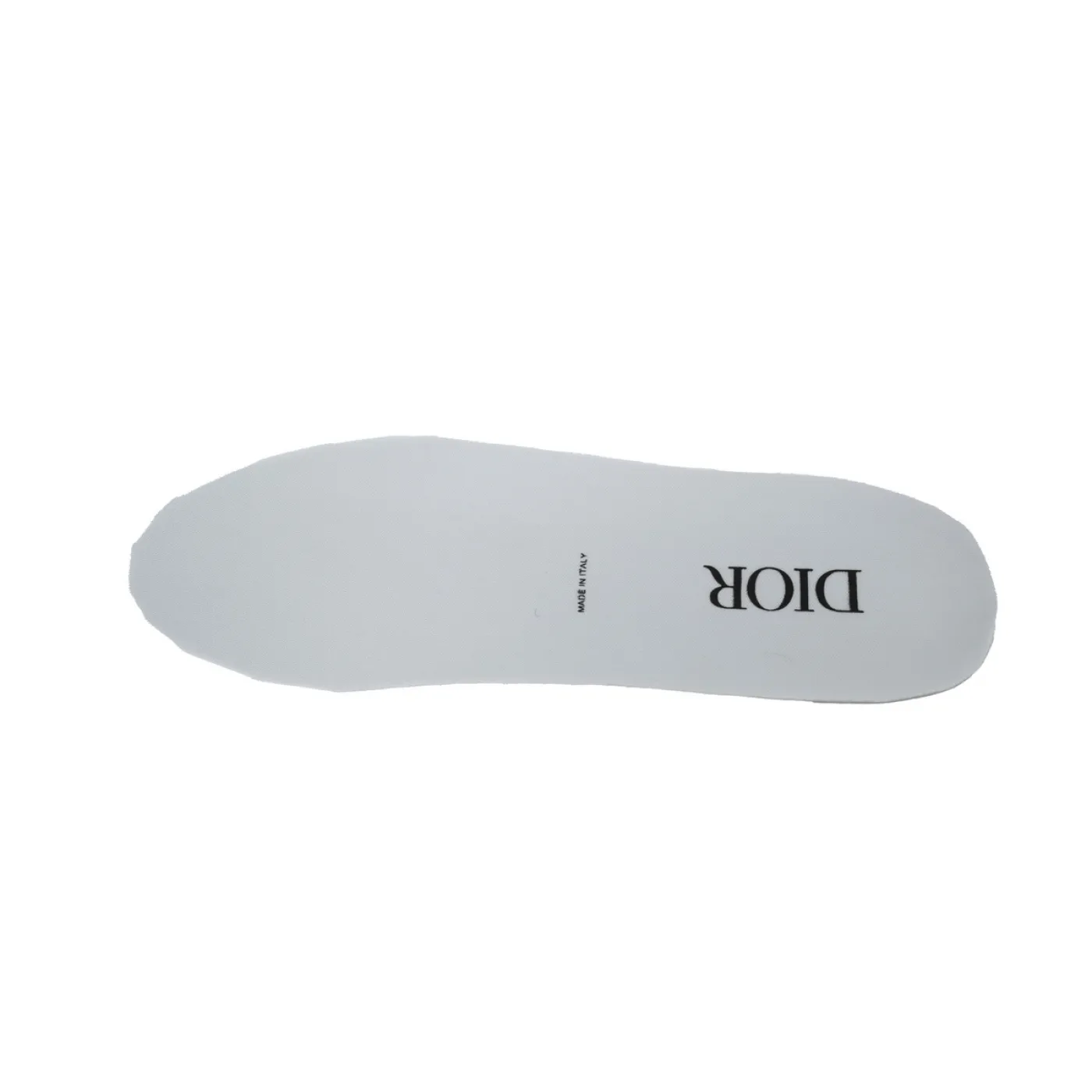 Dior B22 Gray Blue