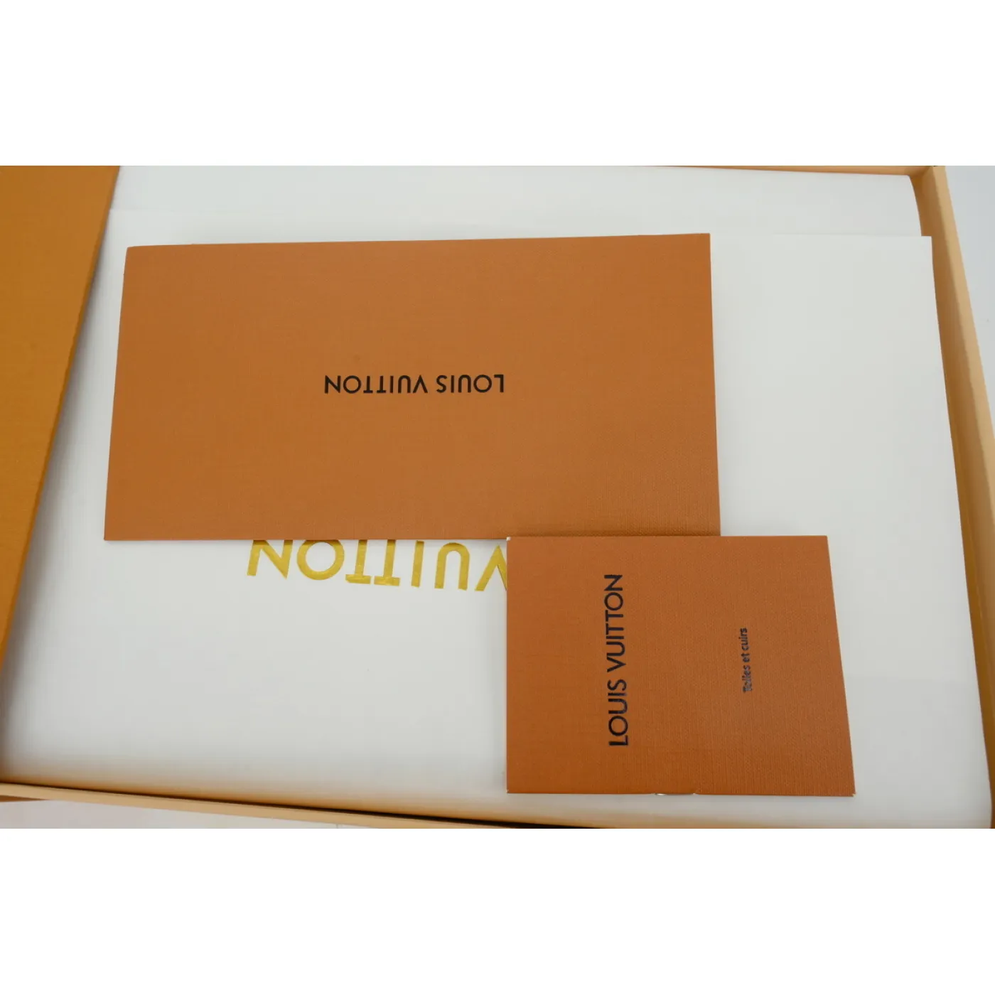 Louis Vuitton LV Skate Sneaker White Brown