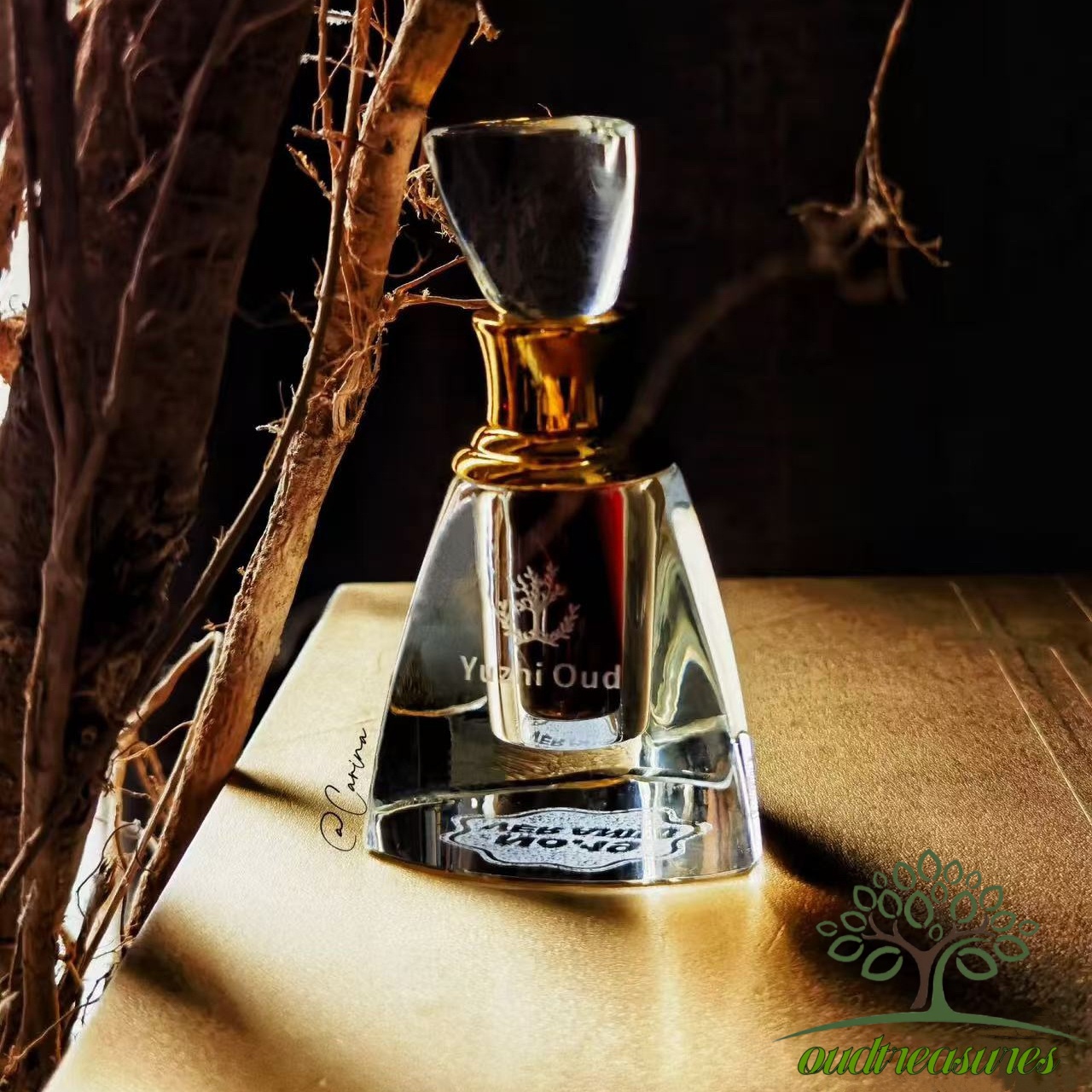 F04-Agarwood old material essential oil