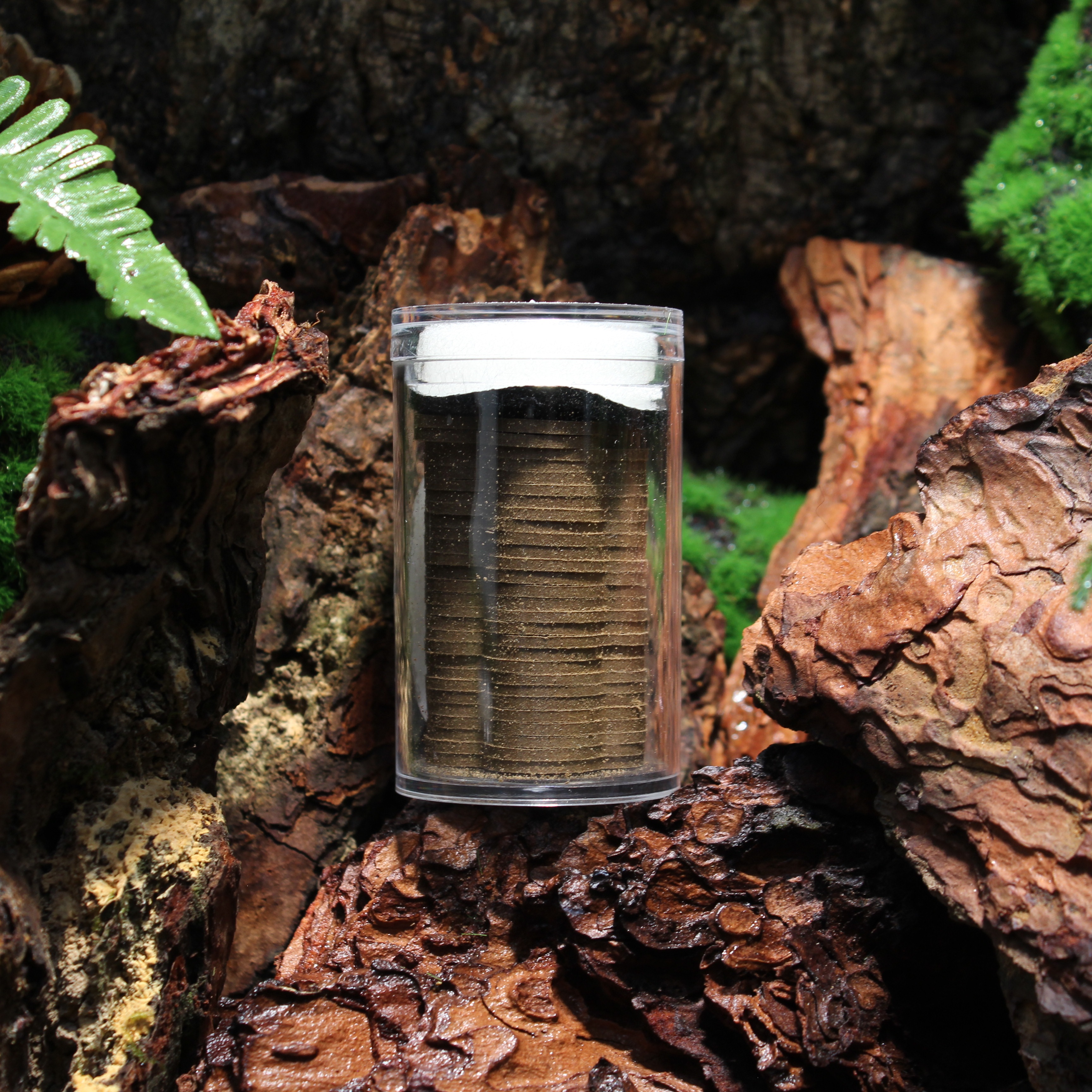 Half a Day of Leisure (Agarwood Clouds)