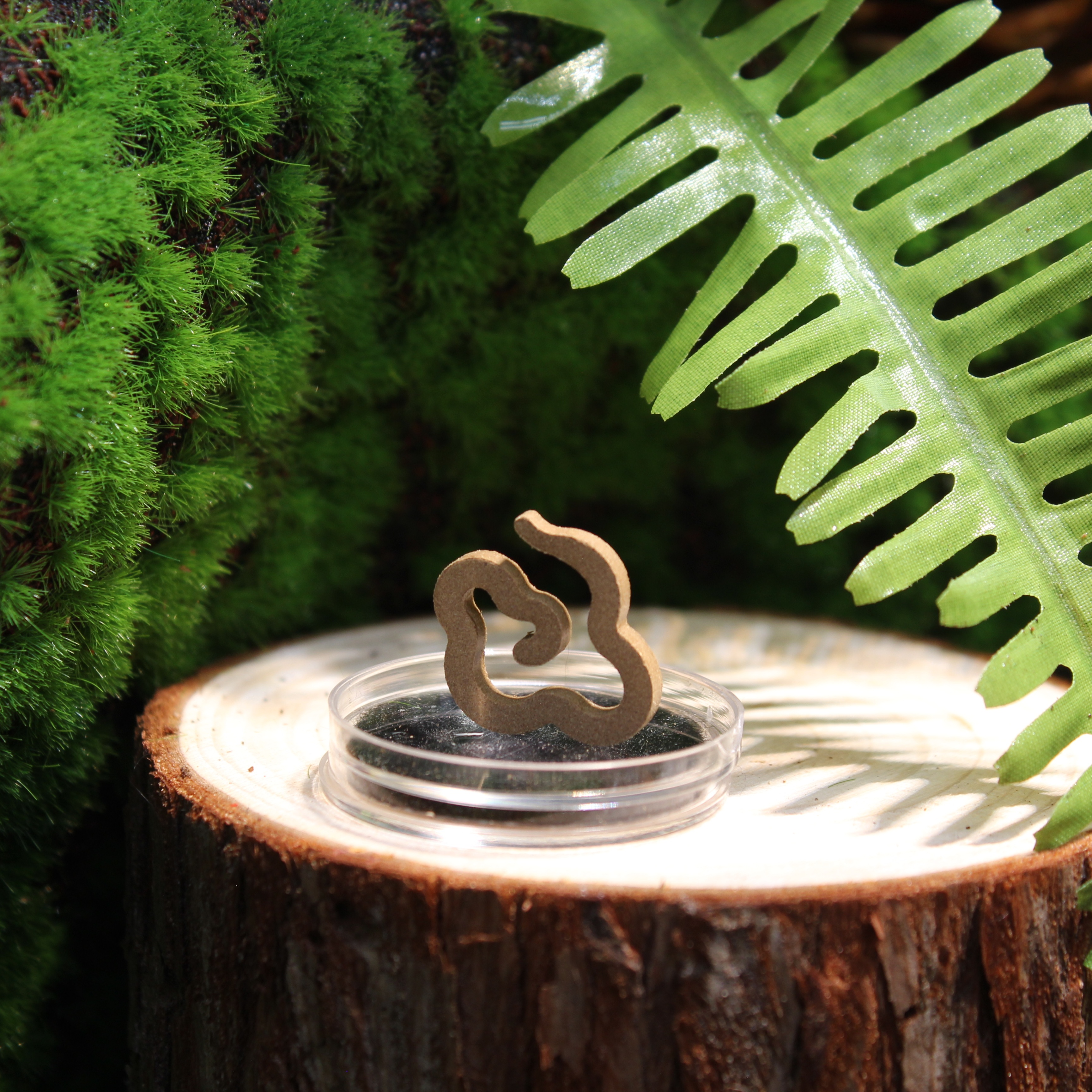 Private Fragrance (Lucky Cloud Series)