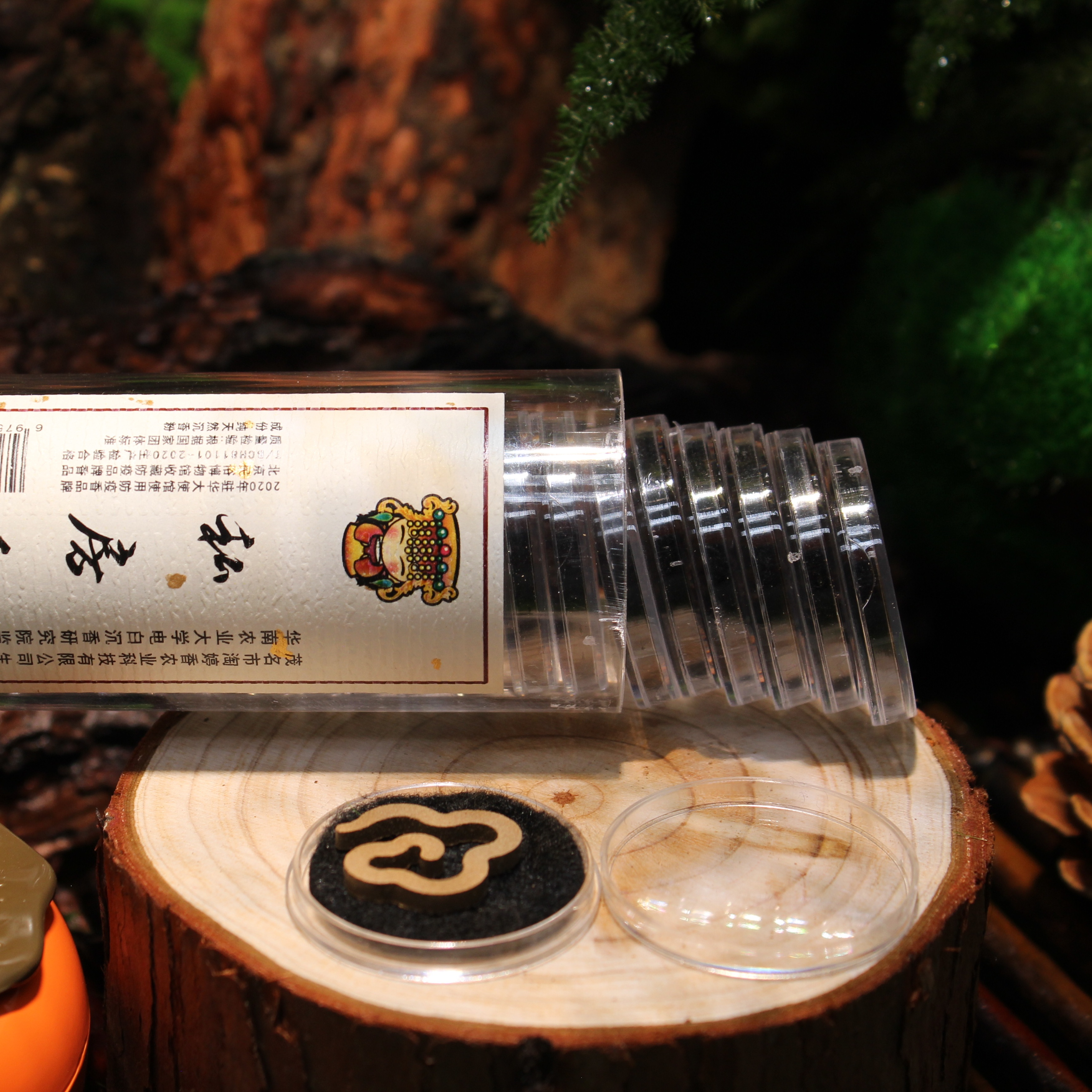 Private Fragrance (Lucky Cloud Series)