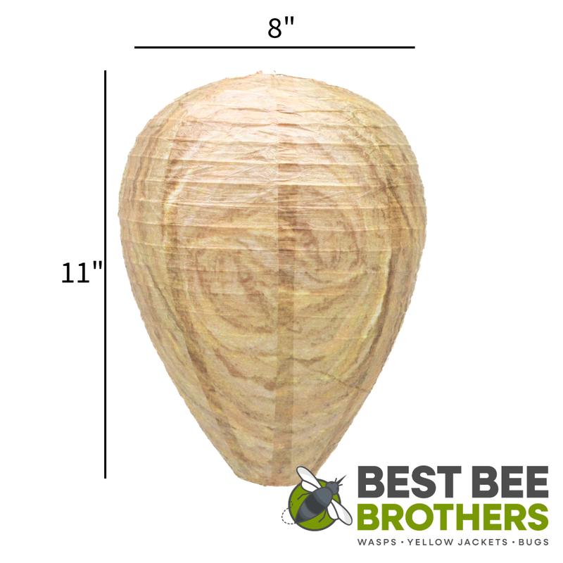 Best Bee Brothers Natural Wasp Deterrent Hives Pack of 4 - Protect Your Yard from territorial wasps