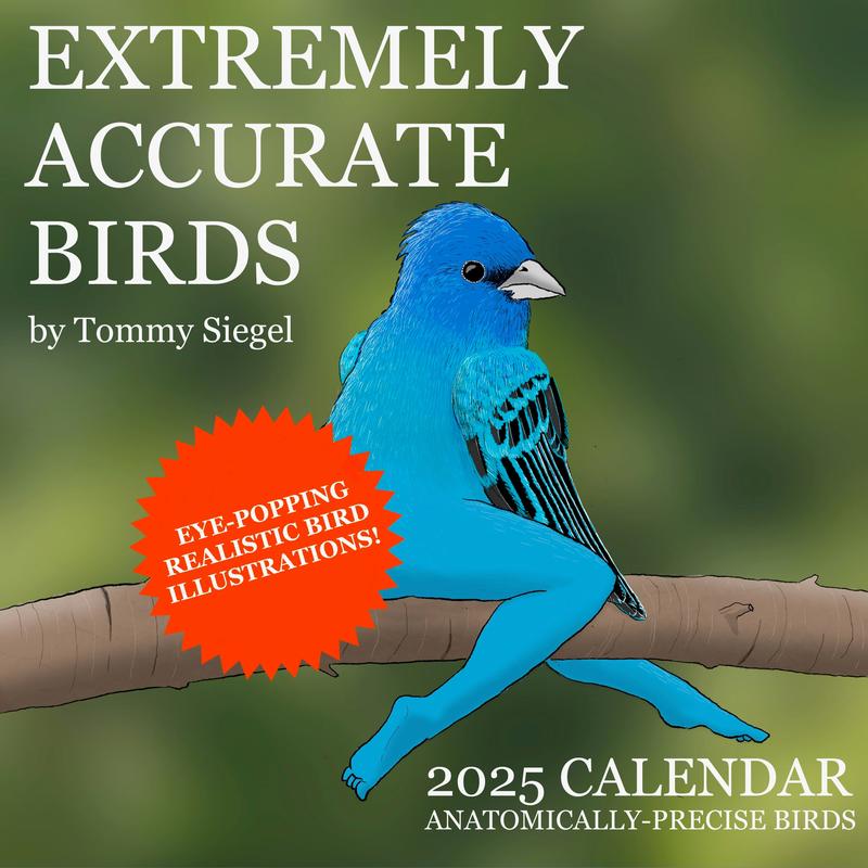 2025 Calendar of Extremely Accurate Birds wall calendar office decor