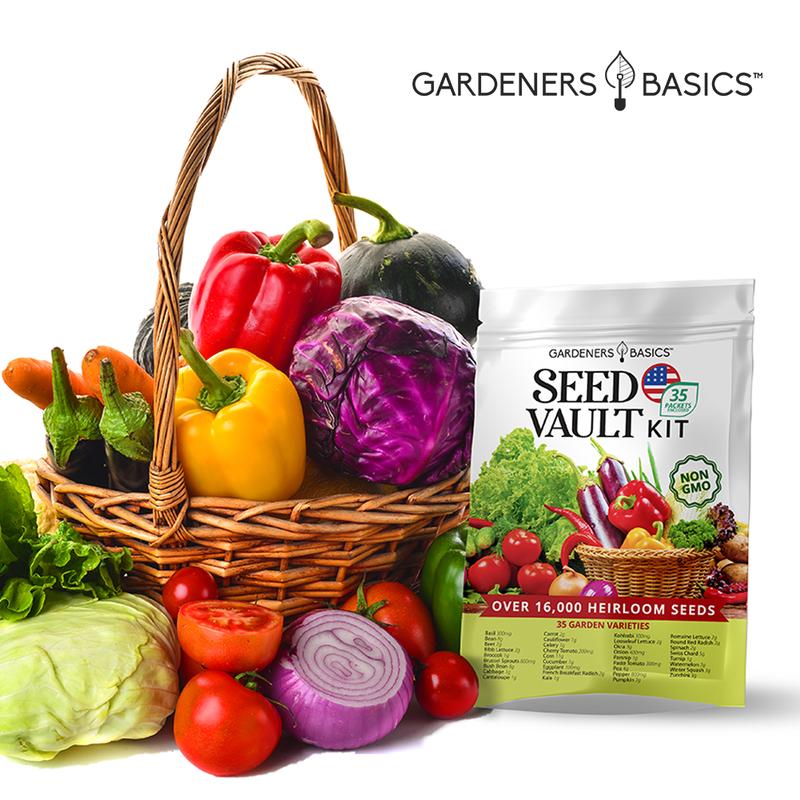 Vegetable Seed Vault Kit | 35 Variety Pack