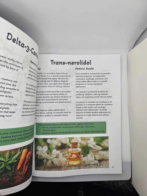 Herbally Infused and Chronically Bemused - The Masterpiece - A Broccoli Cookbook