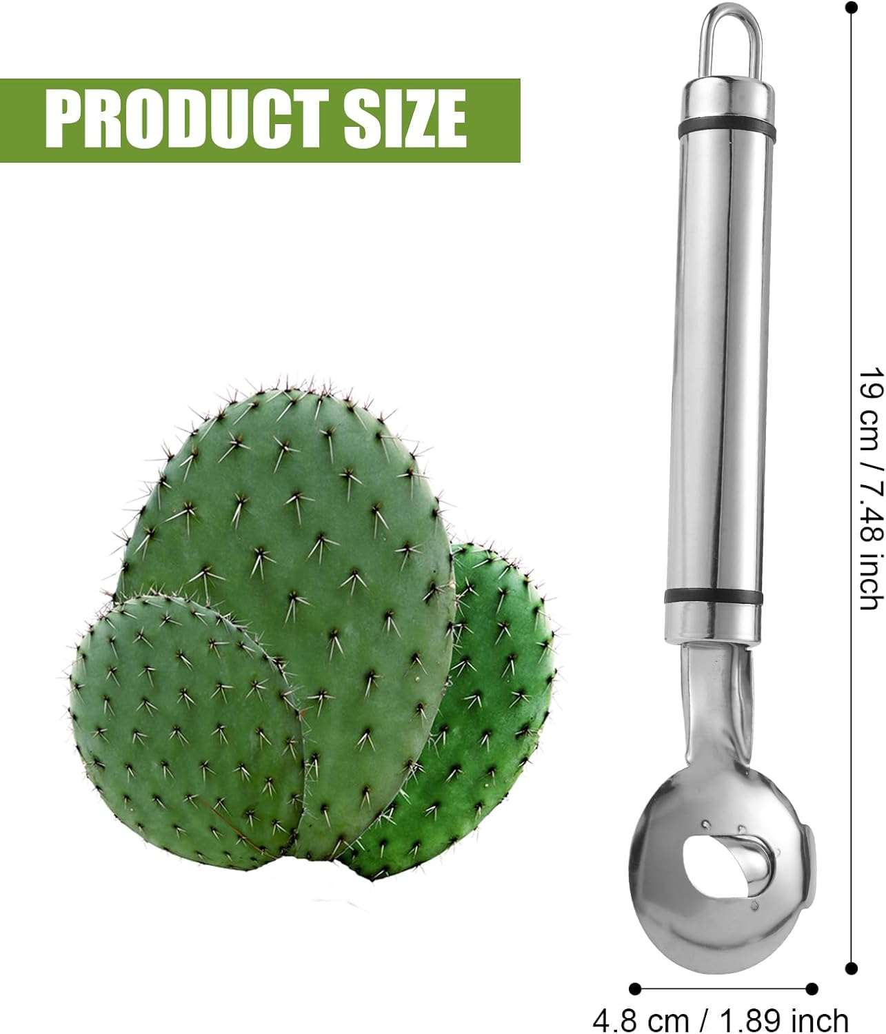 Stainless Steel Cactus Paring Knife and Peeler Spoon Long Handle Slicing Noodle Cutter