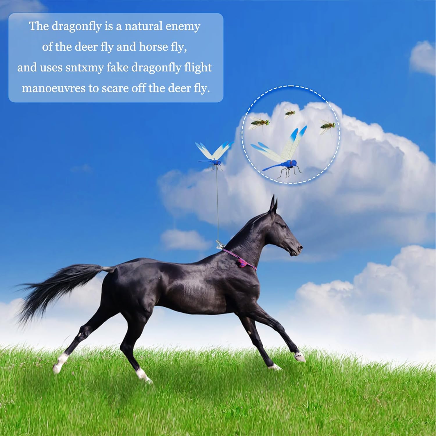 Outdoor Dragonfly Rod Clip,