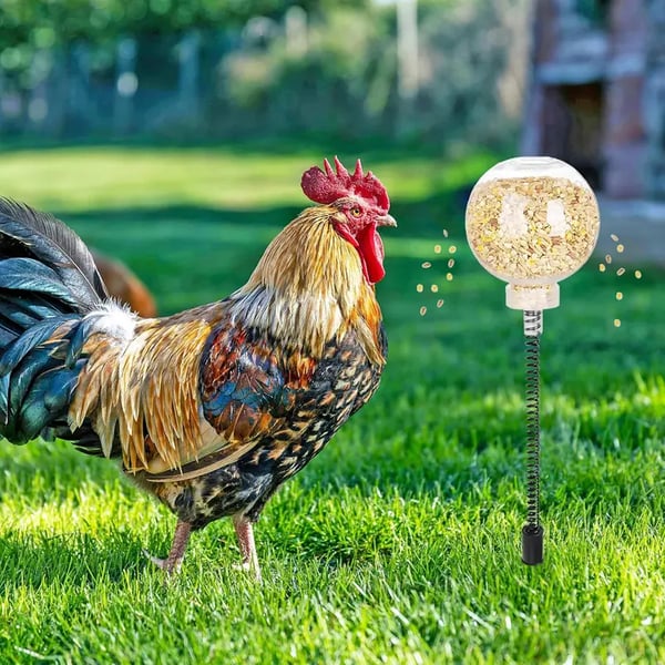 Chicken Swing Feeder, Chick Slow Feeder Toy