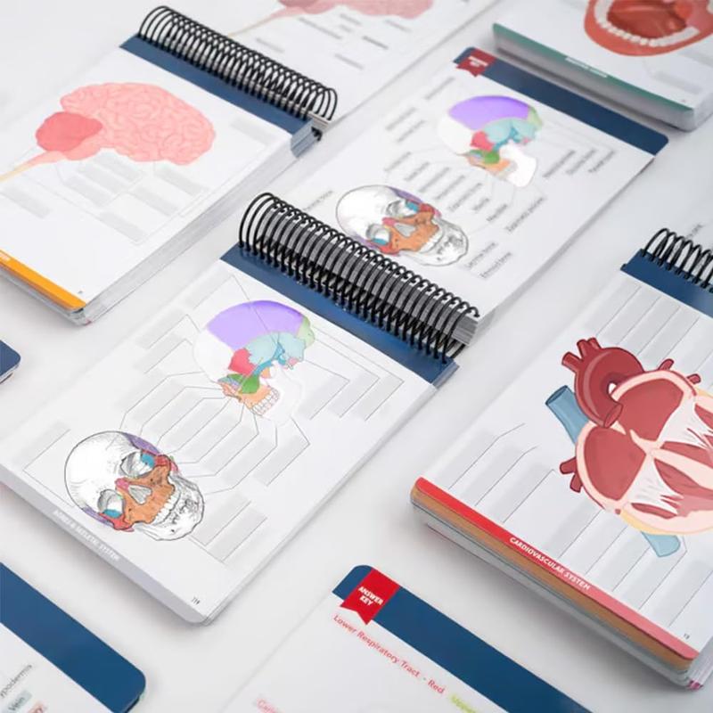 Anatomy Label Workbook, 1 Piece Skeleton Body Structure Diagram Anatomy Label Workbook, Educational Supplies for Students Learning, Learning Materials, School Supplies, Teaching Supplies, Learning Tool