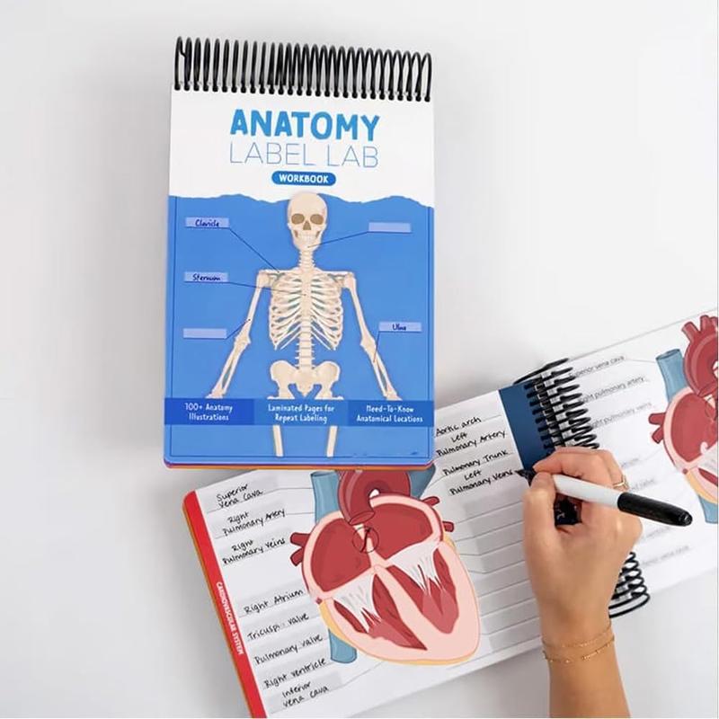 Anatomy Label Workbook, 1 Piece Skeleton Body Structure Diagram Anatomy Label Workbook, Educational Supplies for Students Learning, Learning Materials, School Supplies, Teaching Supplies, Learning Tool