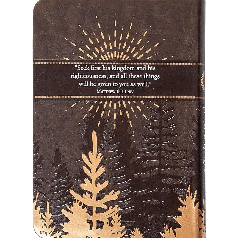 Jesus First for Men: 365 Devotions to Start Your Day