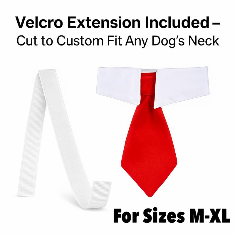 2 Piece Hilarious Halloween Costume for Cats & Dogs with Red Tie & Blonde Wig - Easy On/Off Design for Pet Festivals