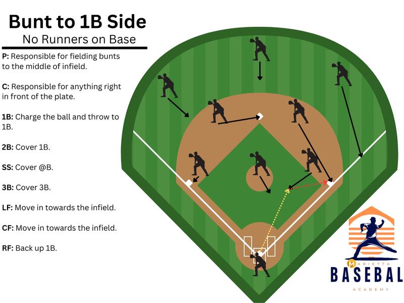 Baseball Softball Defensive Situations Guide Flip Book & Full Size Comprehensive Resource for Coaches Players Enthusiasts