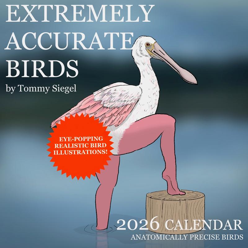 2026 Calendar of Extremely Accurate Birds