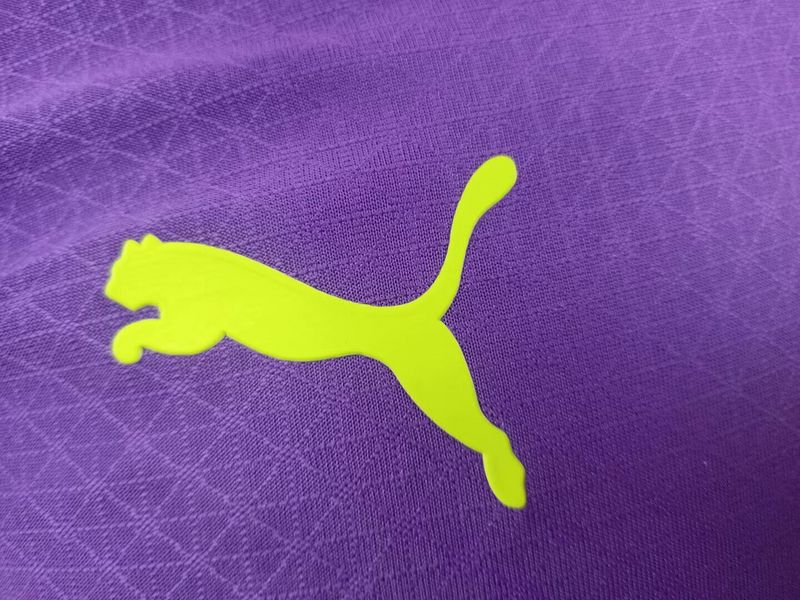 25-26 Dortmund purple player version jersey 1:1 Thai Quality Football Shirt