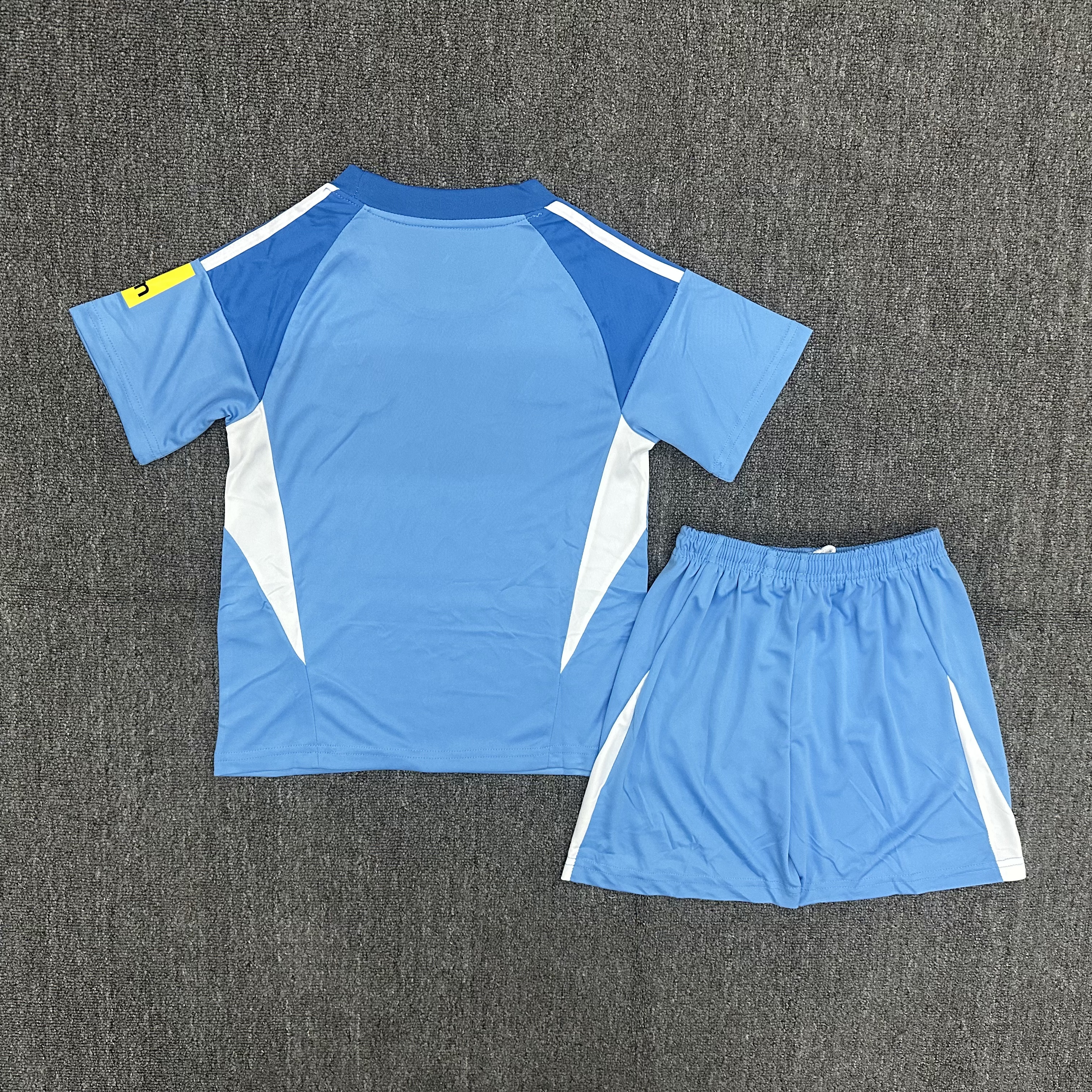 25-26 Newcastle United GK blue Kids Suit  1:1 Thai Quality Football Kit