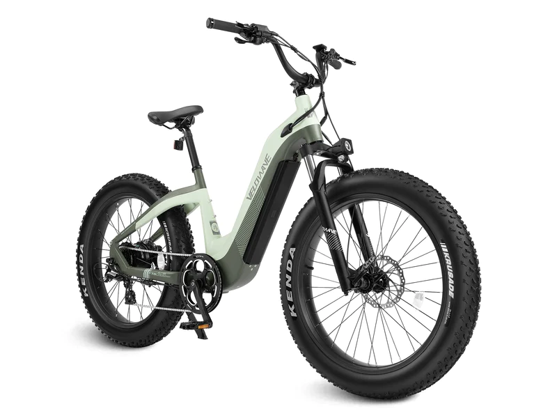 Grace 2.0 Step-Thru Electric Bike