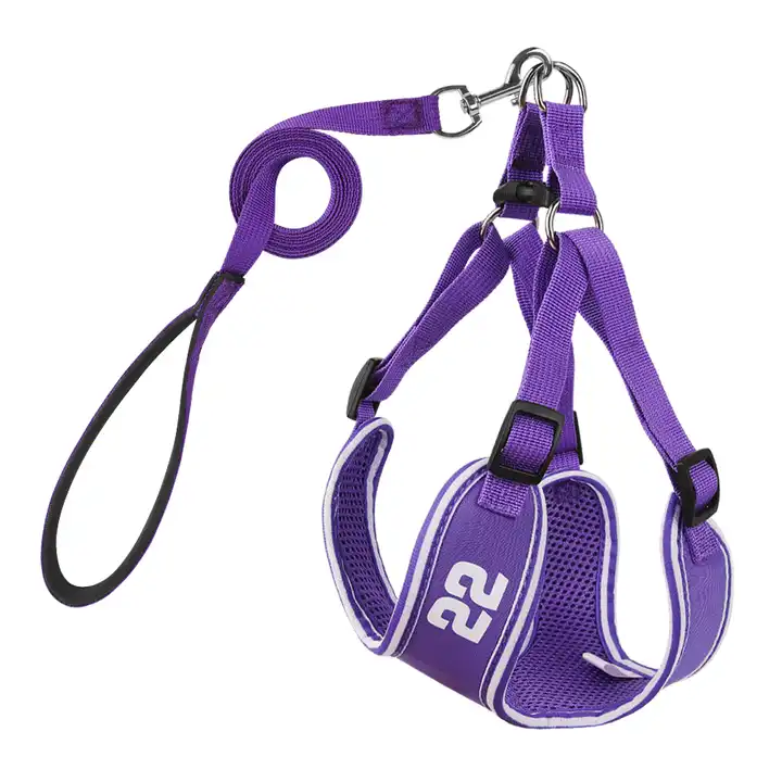 Wholesale Breathable Dog Harness Vest and Leash Set