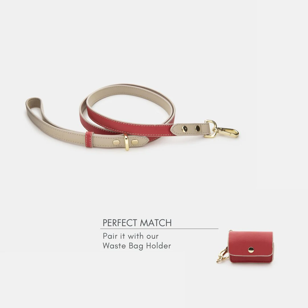 Leash 4ft - Vegan Leather - Copenhagen