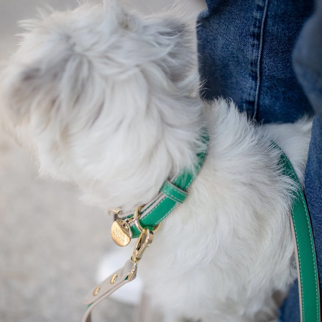 Collar - Vegan Leather - Rio