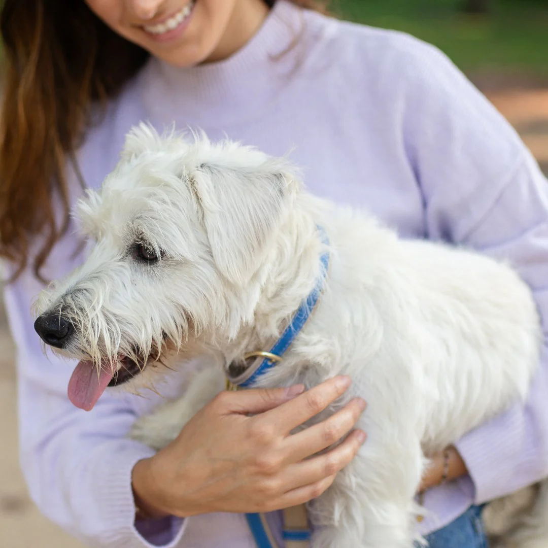 Collar - Vegan Leather - London