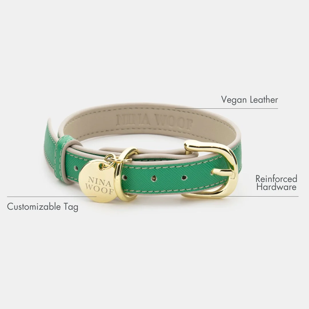 Collar - Vegan Leather - Rio