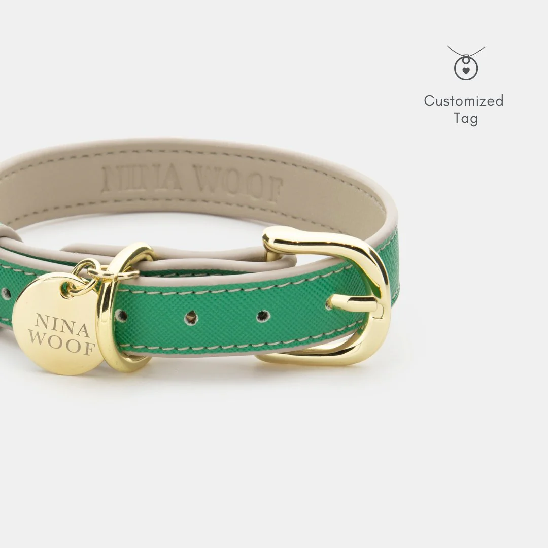 Collar - Vegan Leather - Rio