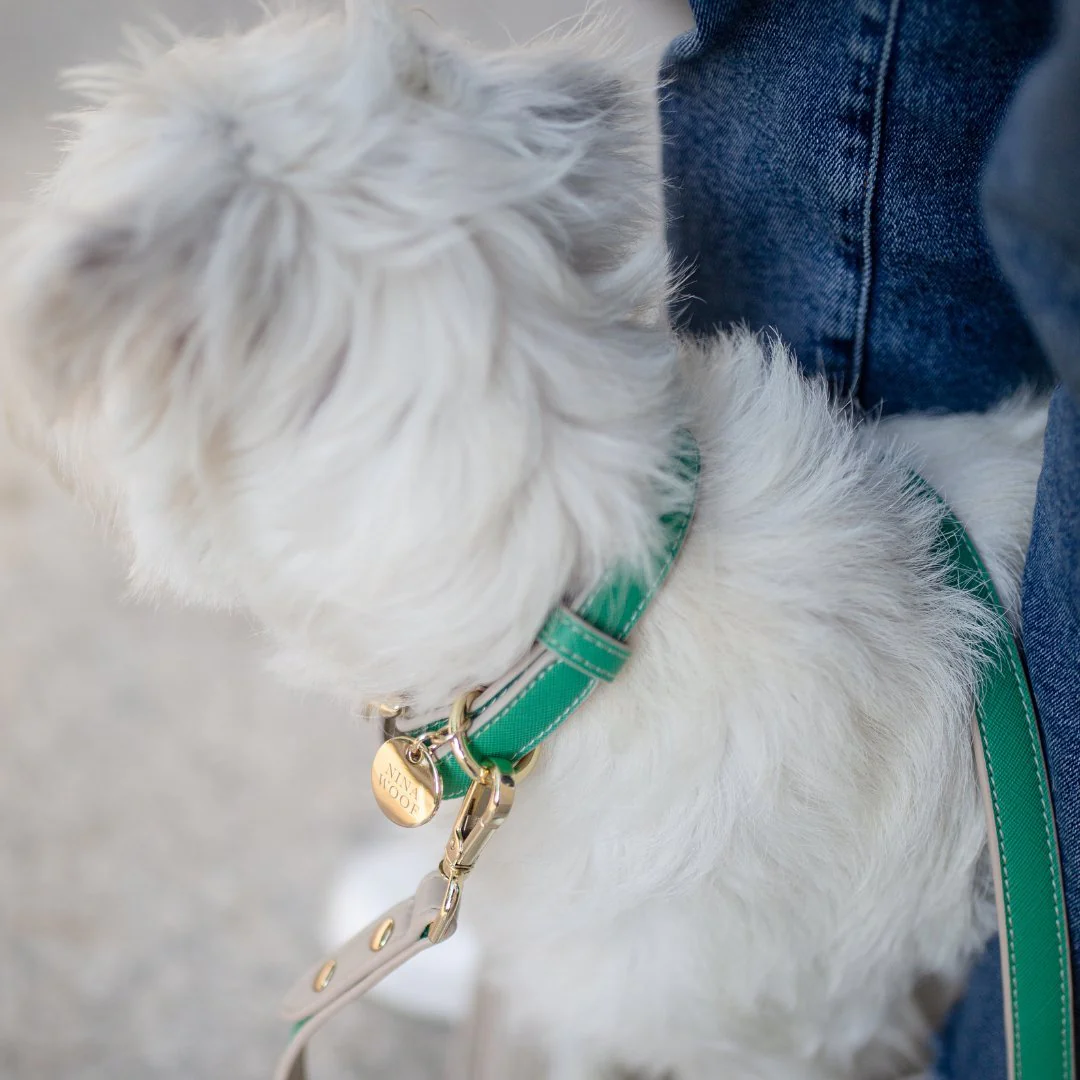 Collar - Vegan Leather