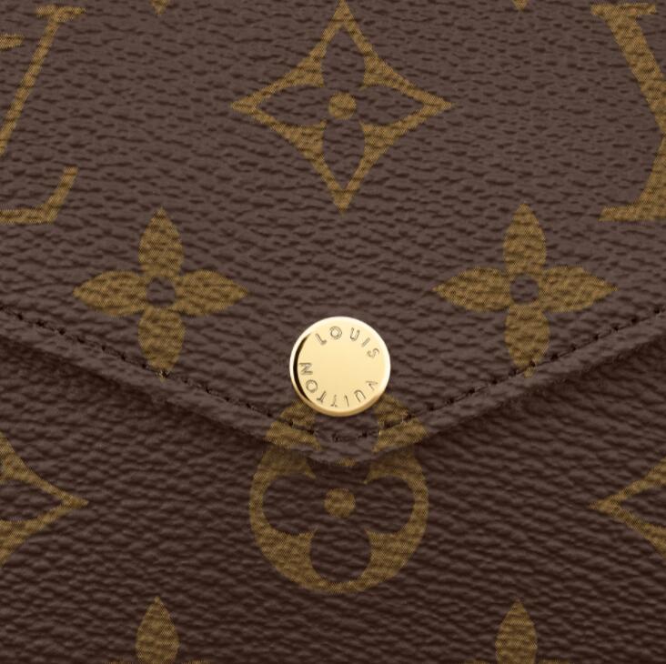 LOUIS VUITTON POCHETTE FÉLICIE CHAIN BAG