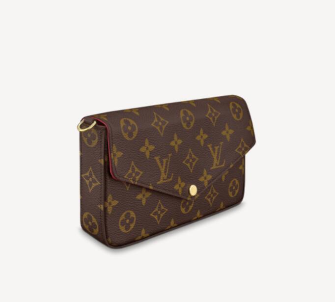 LOUIS VUITTON POCHETTE FÉLICIE CHAIN BAG