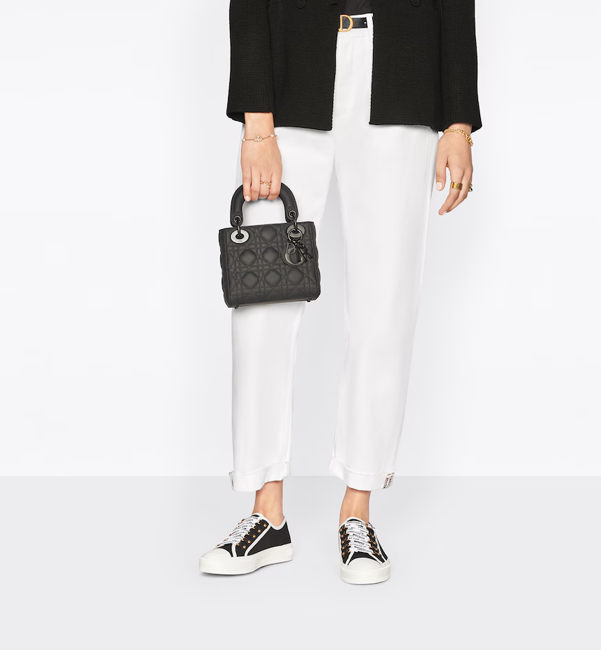 Mini Lady Dior Bag