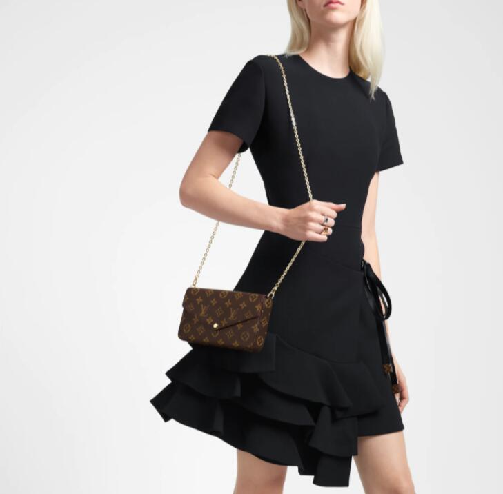 LOUIS VUITTON POCHETTE FÉLICIE CHAIN BAG