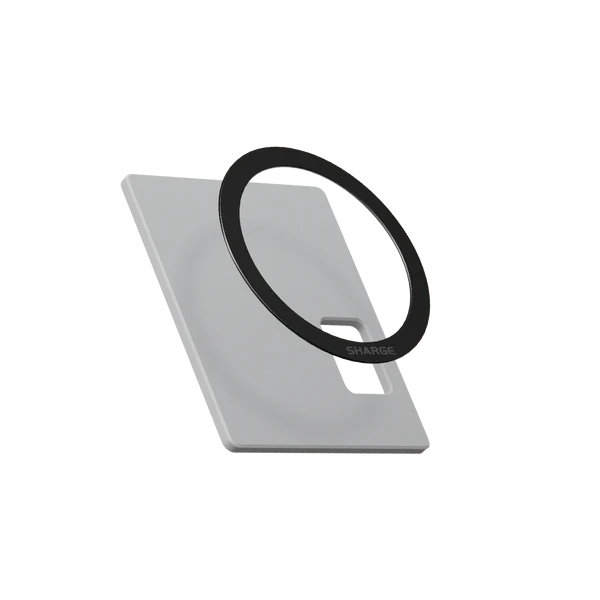 Magnetic Module for Disk Plus