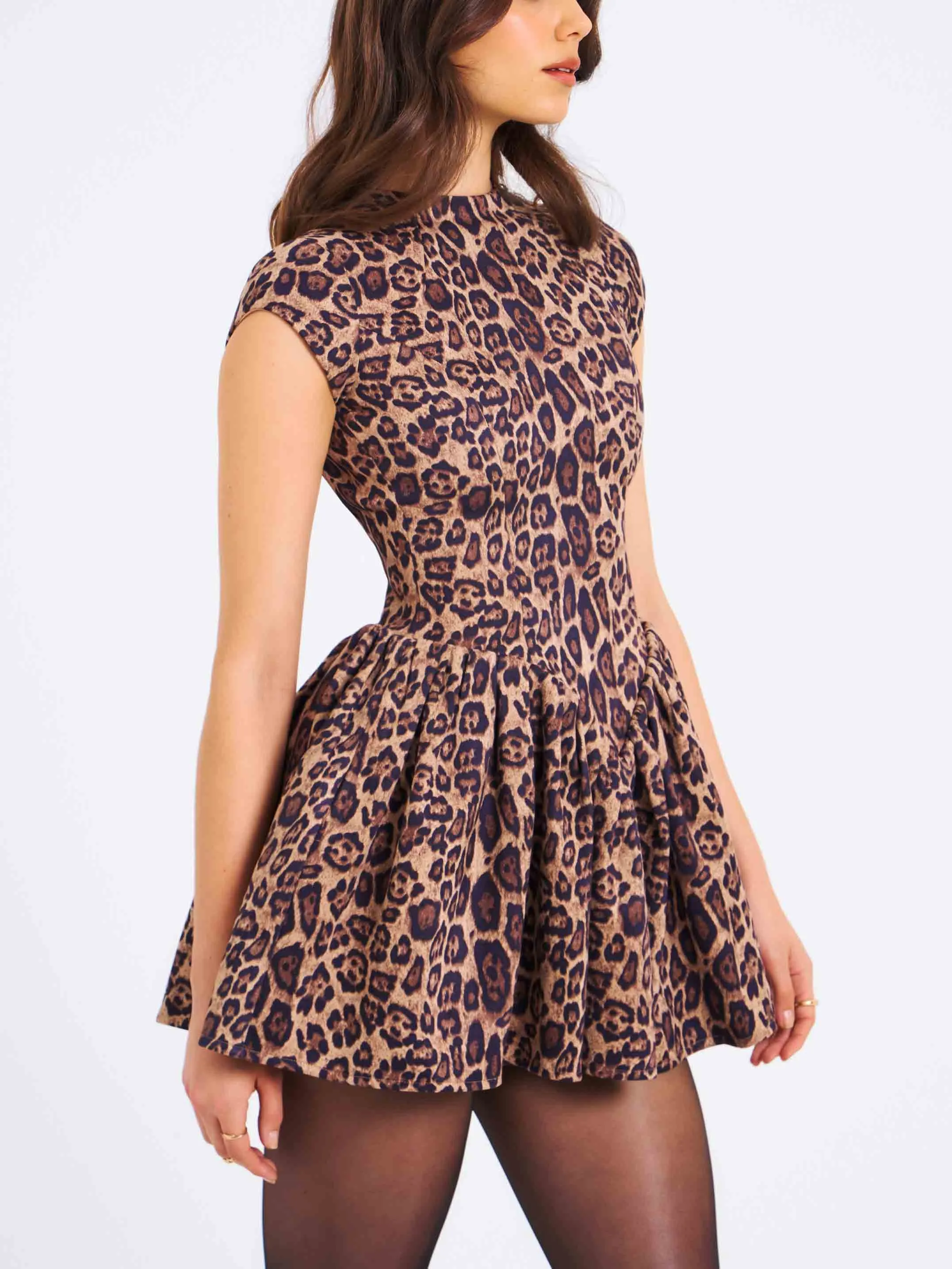 Elegant And Stylish Leopard Print Mini Dress