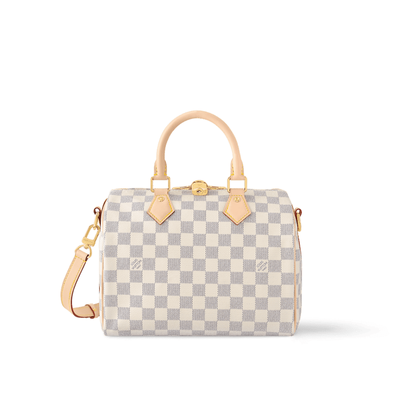Louis Vuitton N40608 Speedy Bandoulière 25 - SILKROAD