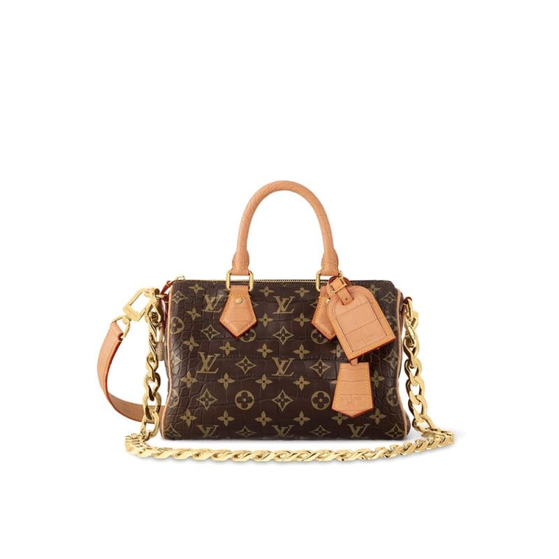 Louis Vuitton N87286 Speedy 25 - SILKROAD