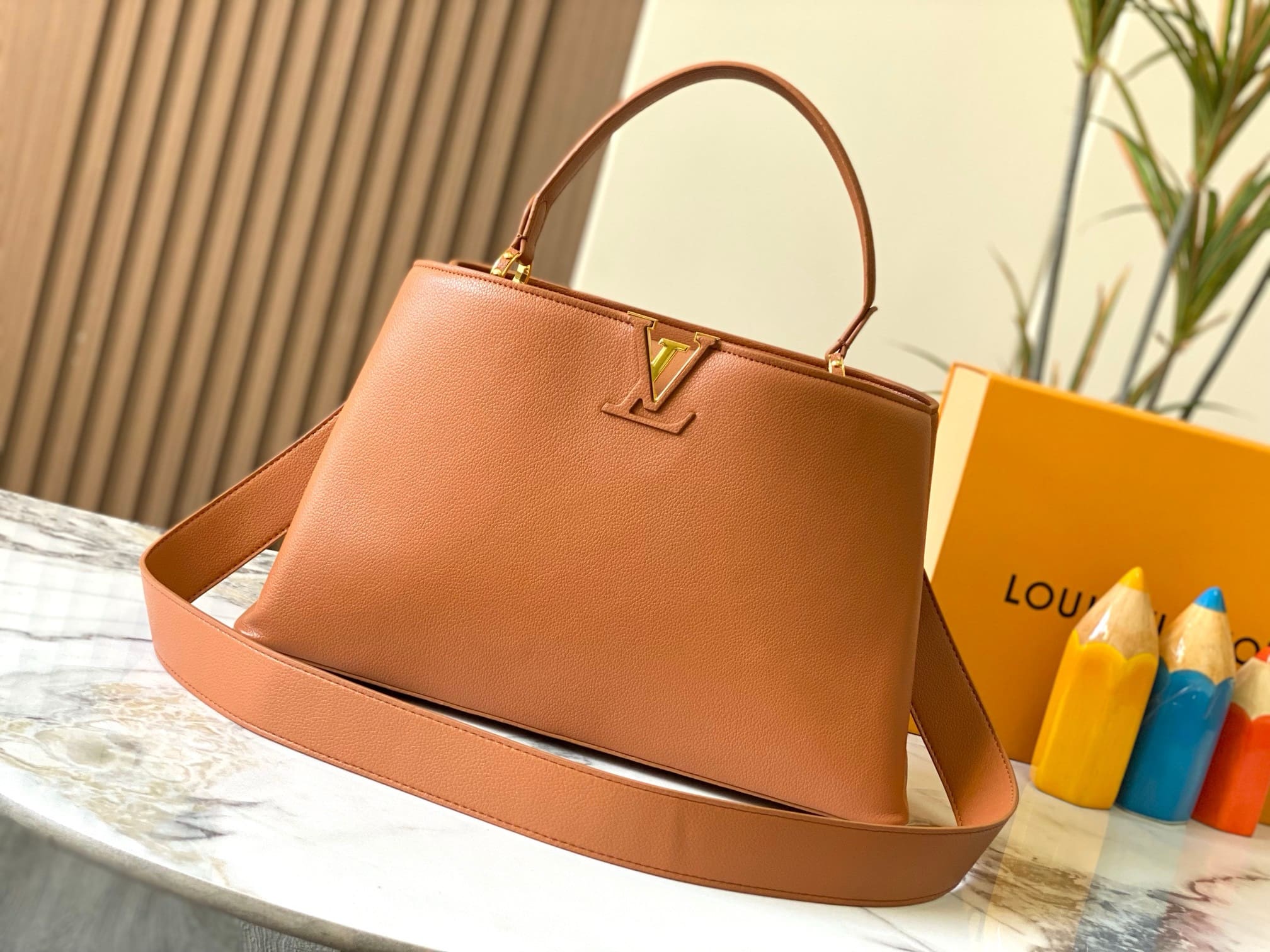 Louis Vuitton M24620 Large CAPUCINES SOUPLE BAG - SILKROAD