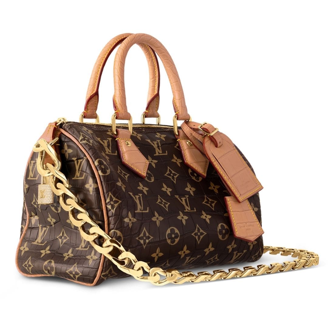 Louis Vuitton N87286 Speedy 25 - SILKROAD
